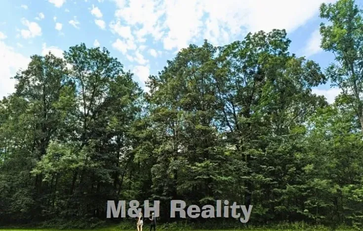 Prodej lesa, Ostravice, 7872 m2