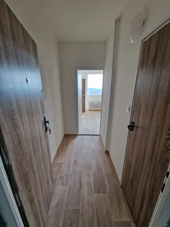 Pronájem bytu 1+1, Chomutov, Dřínovská, 37 m2