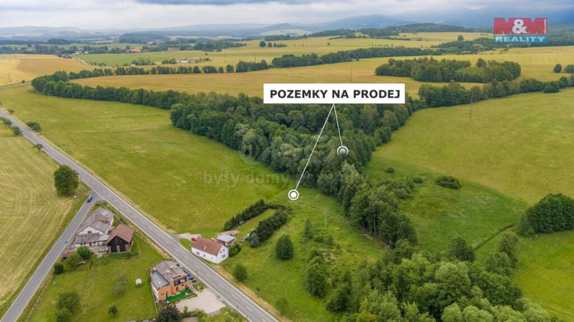 Prodej louky, Dětřichov, 4178 m2