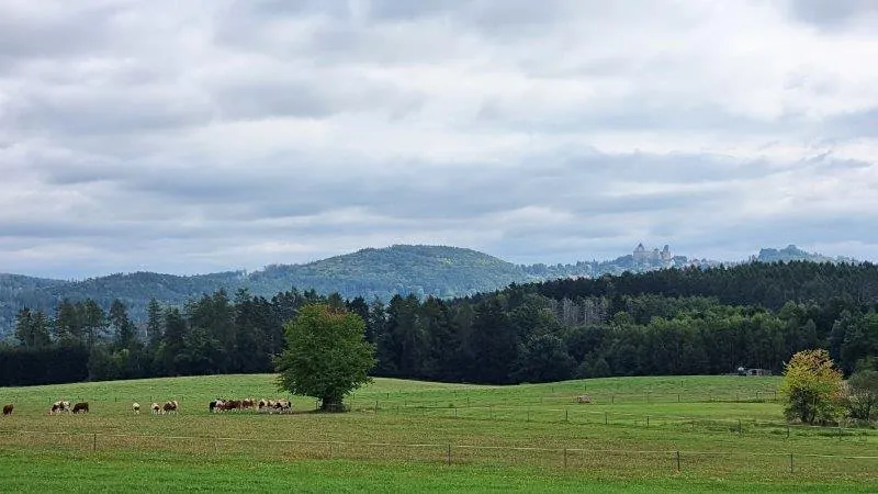 Prodej chalupy, Řečice, 90 m2
