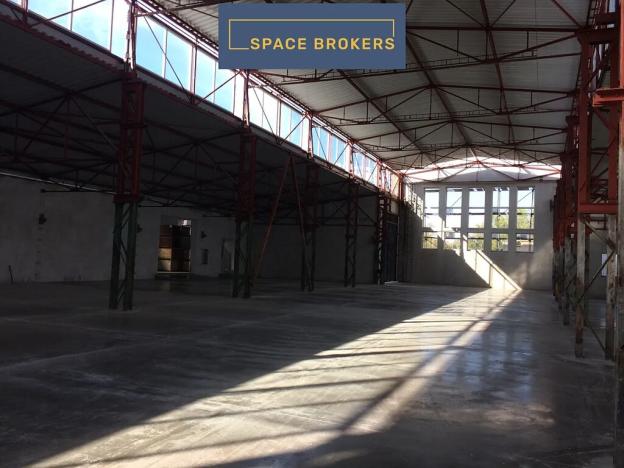 Pronájem výrobních prostor, Čelákovice, 4000 m2