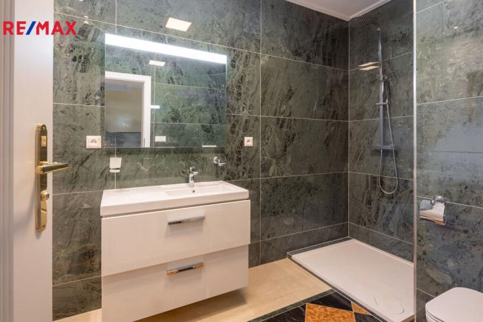 Prodej rodinného domu, Jenišov, Pod Vrchem, 483 m2