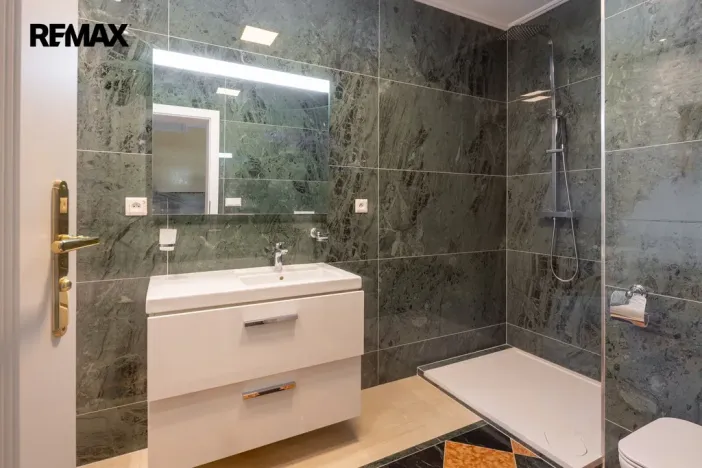 Prodej rodinného domu, Jenišov, Pod Vrchem, 483 m2