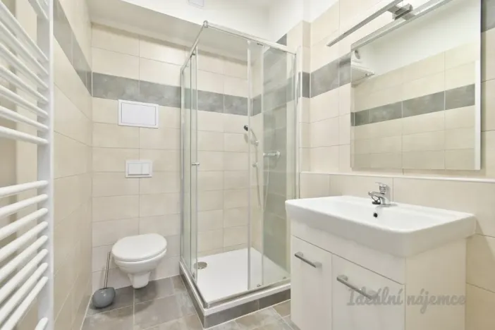 Pronájem bytu 2+kk, Brno, Havránkova, 39 m2