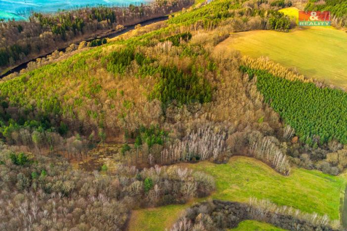 Prodej lesa, Dolní Třebonín - Štěkře, 5767 m2