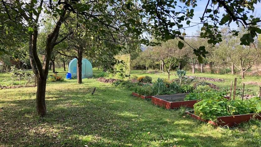 Prodej chalupy, Orlické Podhůří, 313 m2