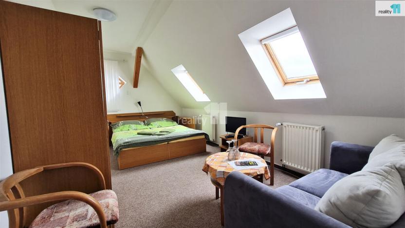 Prodej ubytování, Provodov-Šonov - Kleny, 400 m2