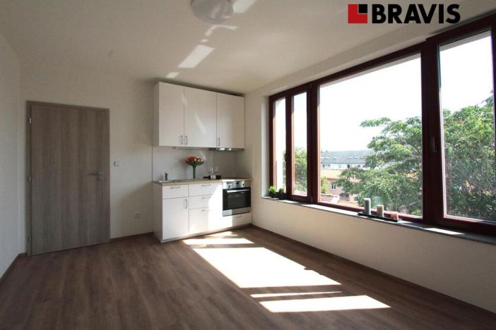 Pronájem bytu 1+kk, Brno, Francouzská, 22 m2