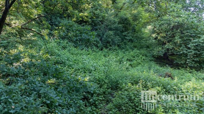 Prodej pozemku pro bydlení, Hranice, 4996 m2