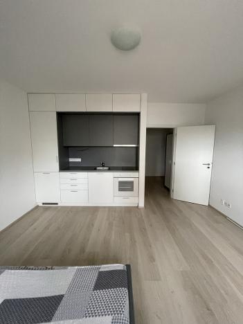 Pronájem bytu 1+kk, Plzeň - Severní Předměstí, Na Chmelnicích, 30 m2