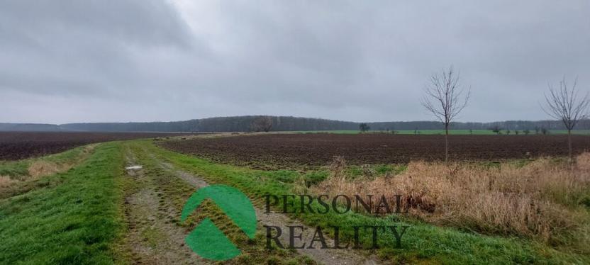 Pronájem pole, Lodín, 3093 m2