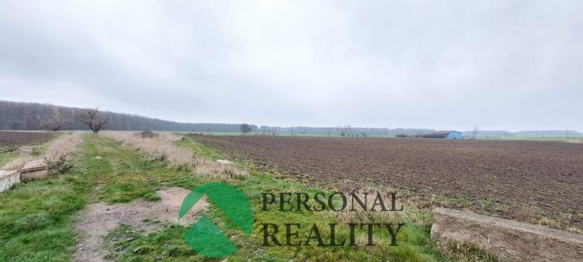 Pronájem pole, Lodín, 3093 m2