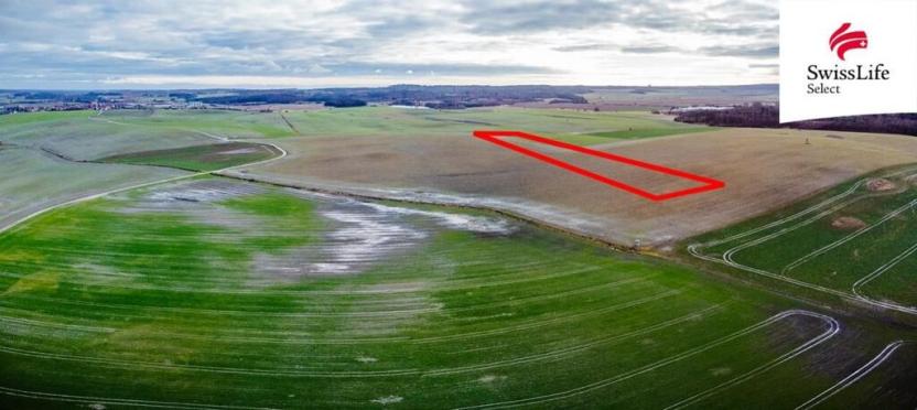 Prodej pole, Ctidružice, 10113 m2