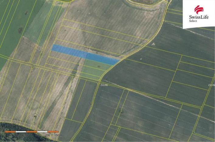 Prodej pole, Ctidružice, 10113 m2