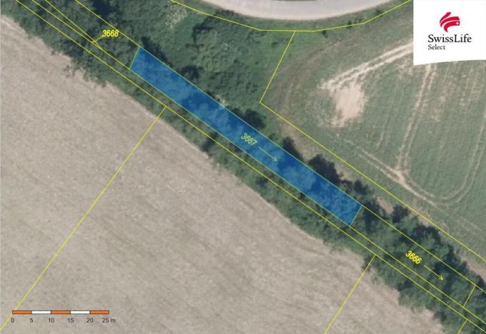 Prodej pole, Blížkovice, 18665 m2