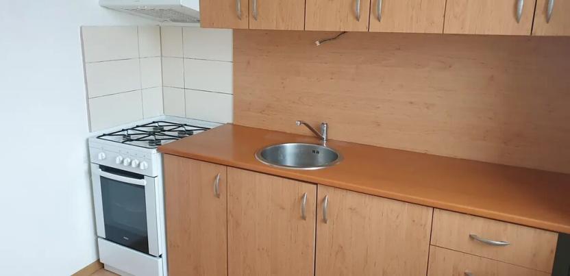 Pronájem bytu 1+1, Novosedlice, Drahénská, 28 m2