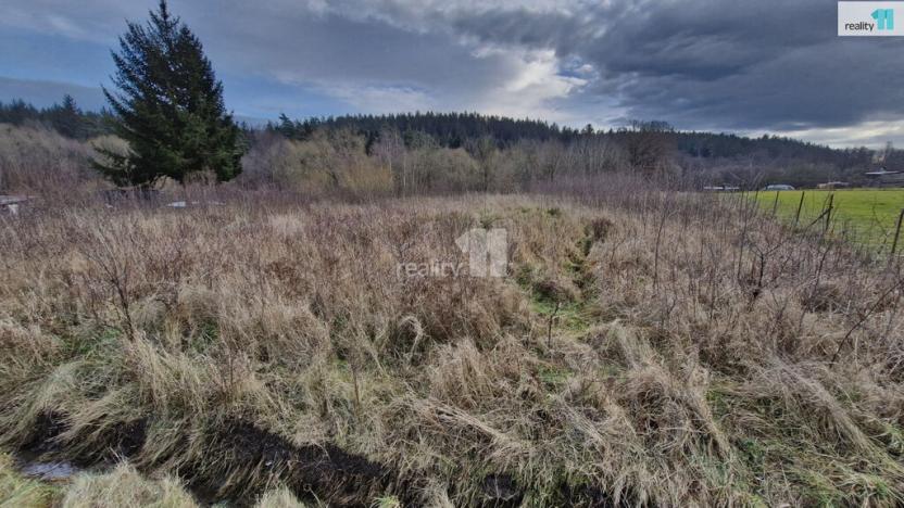 Prodej pozemku pro bydlení, Kynšperk nad Ohří - Zlatá, 2983 m2