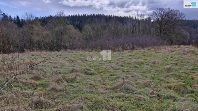 Prodej pozemku pro bydlení, Kynšperk nad Ohří - Zlatá, 2983 m2