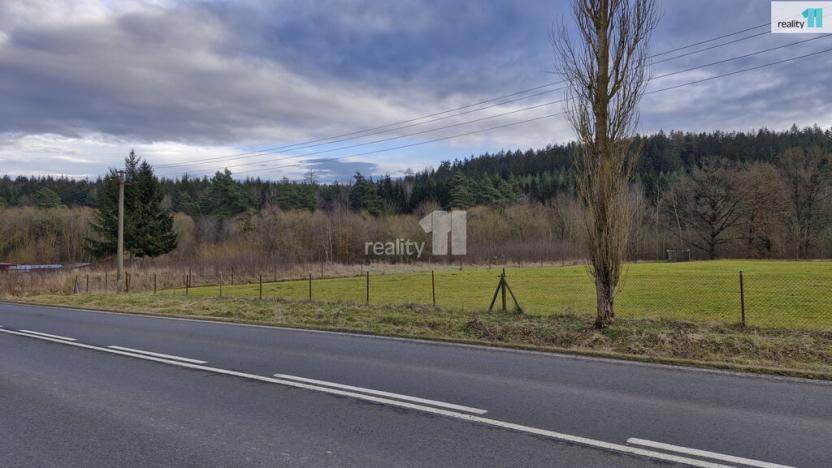 Prodej pozemku pro bydlení, Kynšperk nad Ohří - Zlatá, 2983 m2