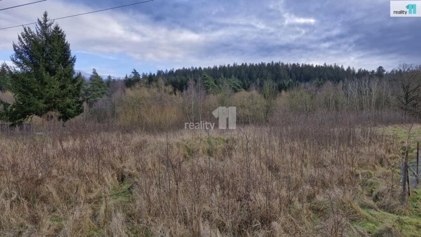 Prodej pozemku pro bydlení, Kynšperk nad Ohří - Zlatá, 2983 m2