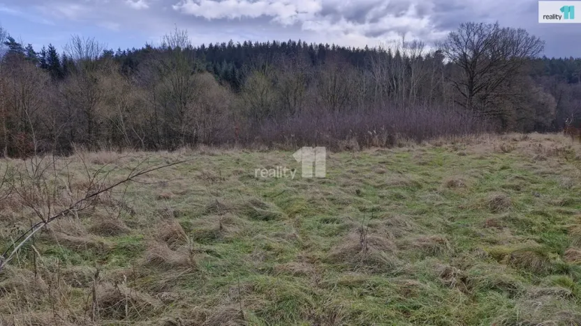 Prodej pozemku pro bydlení, Kynšperk nad Ohří - Zlatá, 2983 m2