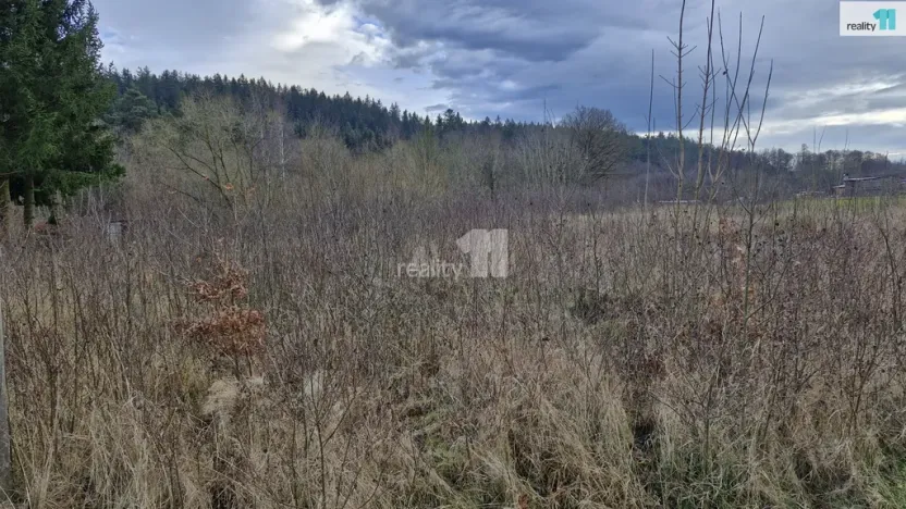 Prodej pozemku pro bydlení, Kynšperk nad Ohří - Zlatá, 2983 m2