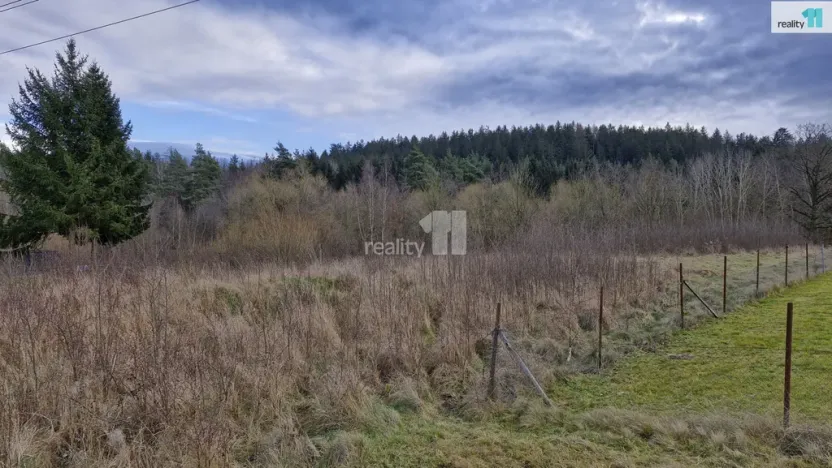 Prodej pozemku pro bydlení, Kynšperk nad Ohří - Zlatá, 2983 m2