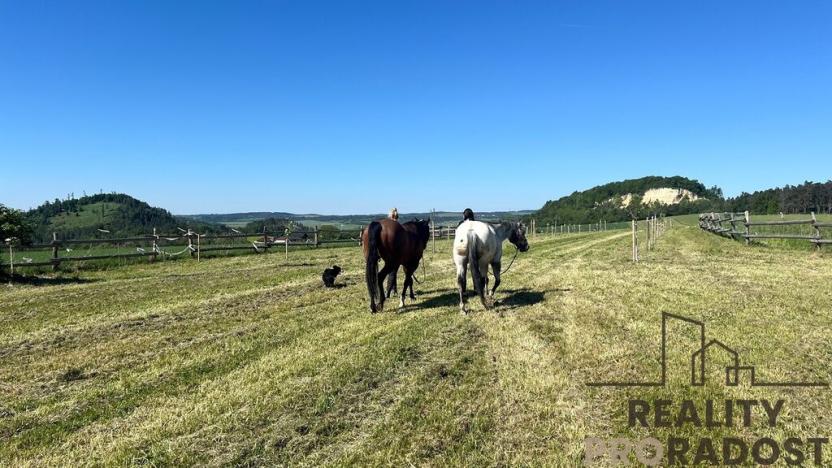 Prodej pozemku pro bydlení, Obora, 29098 m2