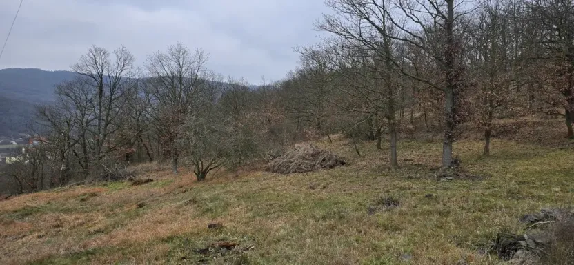 Prodej lesa, Ústí nad Labem, 13913 m2