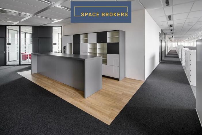 Pronájem kanceláře, Praha - Nusle, Pikrtova, 1250 m2