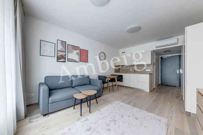 Pronájem bytu 1+kk, Praha - Karlín, Sokolovská, 28 m2