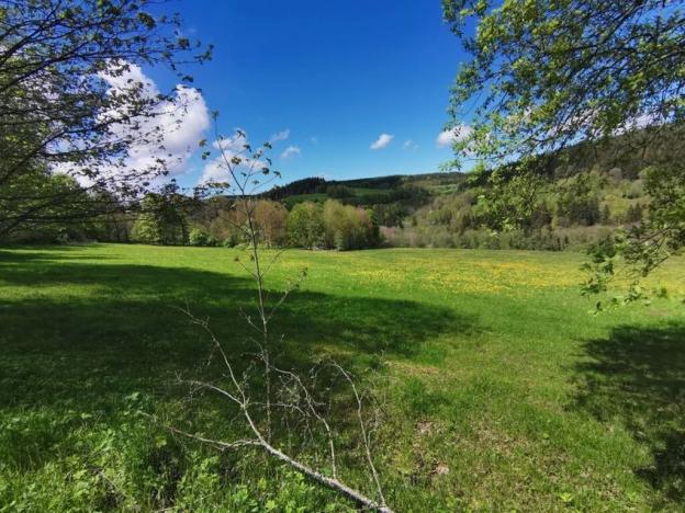 Prodej chalupy, Hartmanice - Kochánov, 250 m2