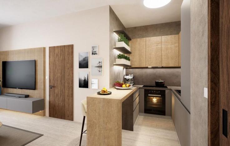 Pronájem bytu 2+kk, Brno, Leitnerova, 54 m2