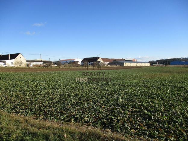 Prodej pozemku pro bydlení, Ctidružice, 2624 m2