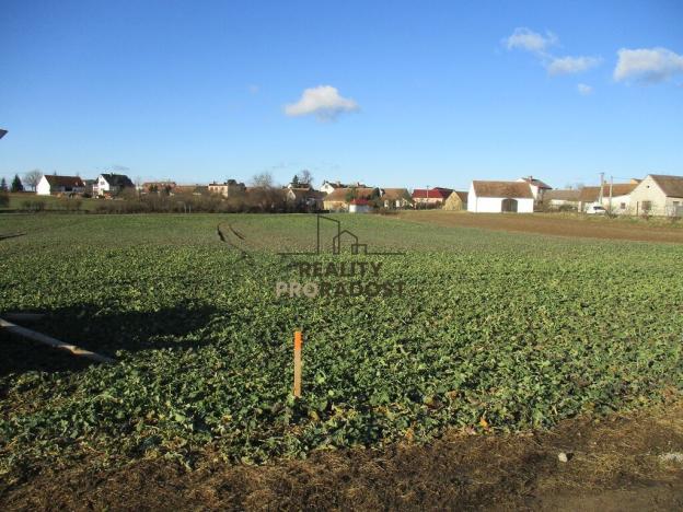 Prodej pozemku pro bydlení, Ctidružice, 2624 m2