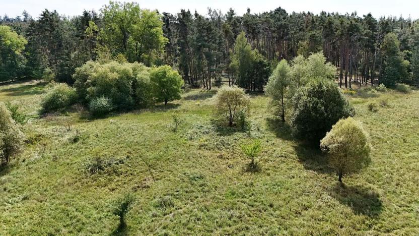 Prodej lesa, Tři Dvory, 20454 m2