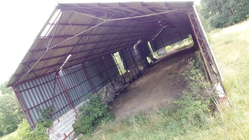 Prodej louky, Aš, 82414 m2