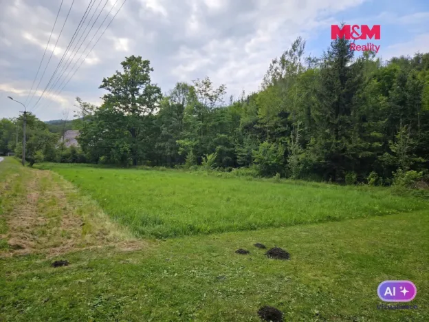 Prodej louky, Vápenná, 2079 m2
