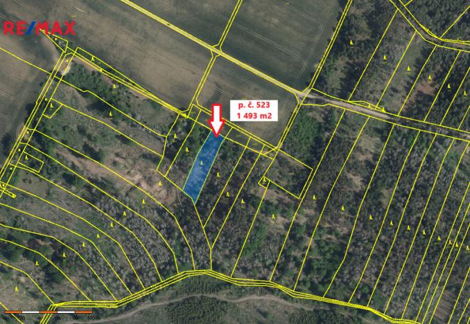 Prodej lesa, Číměř, 1493 m2