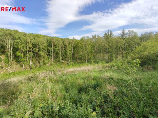 Prodej lesa, Vladislav, 17681 m2