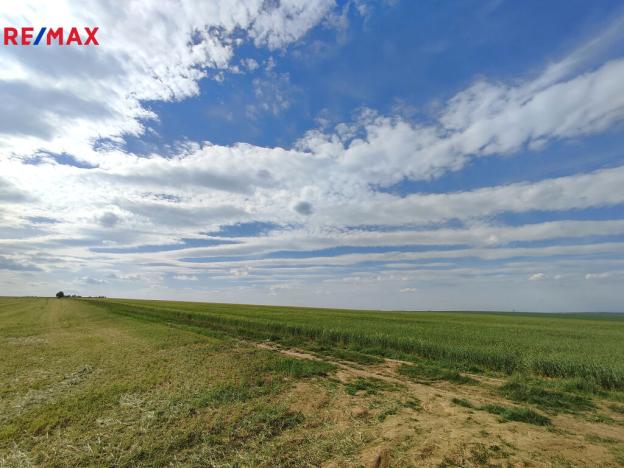 Prodej lesa, Vladislav, 17681 m2