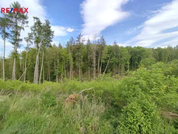 Prodej lesa, Číměř, 17681 m2
