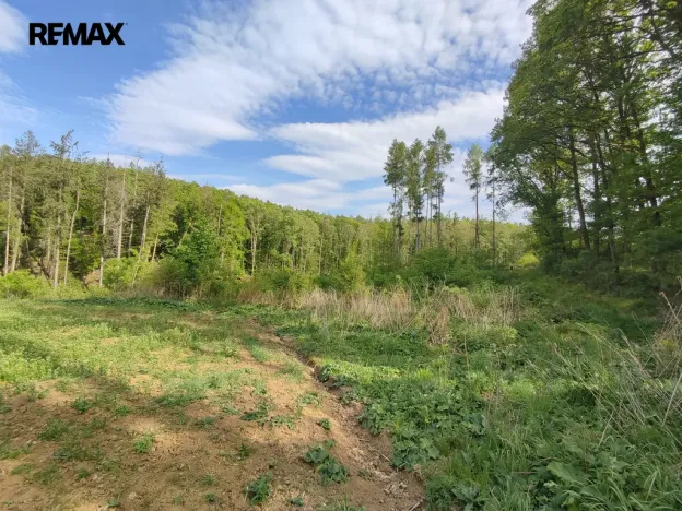 Prodej lesa, Číměř, 17681 m2