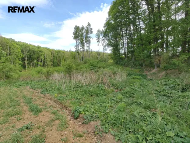 Prodej lesa, Číměř, 17681 m2