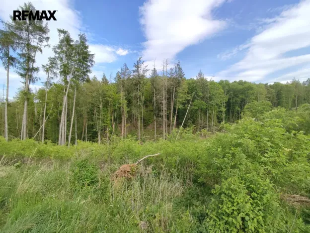 Prodej lesa, Číměř, 17681 m2