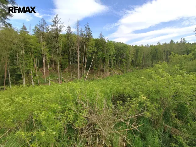 Prodej lesa, Číměř, 17681 m2
