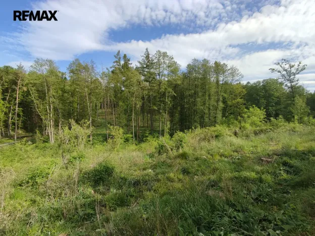 Prodej lesa, Číměř, 17681 m2