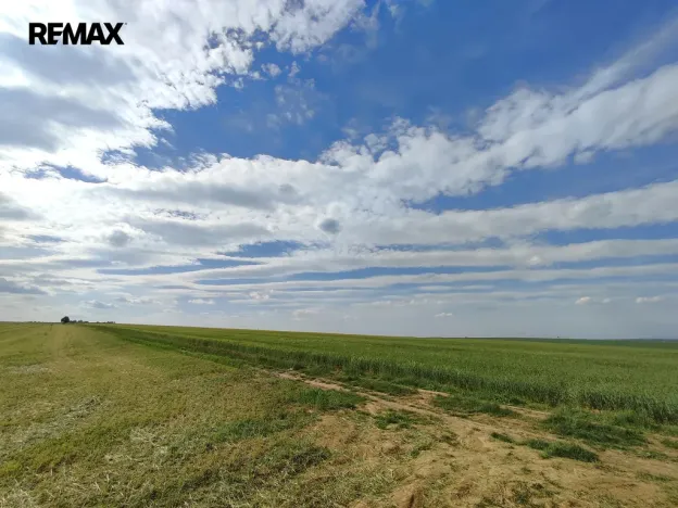 Prodej lesa, Číměř, 17681 m2