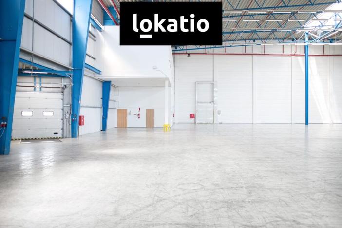 Pronájem skladu, Kněževes, 4264 m2