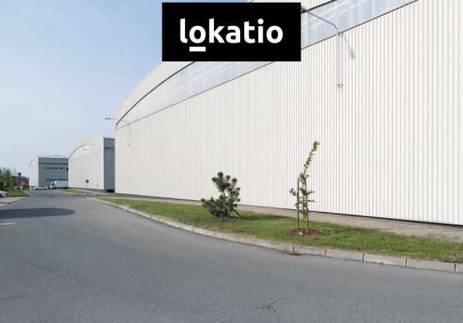 Pronájem skladu, Kněževes, 4264 m2